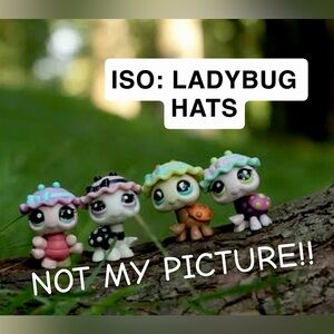 ISO: Ladybug Hats (DO NOT BUY)